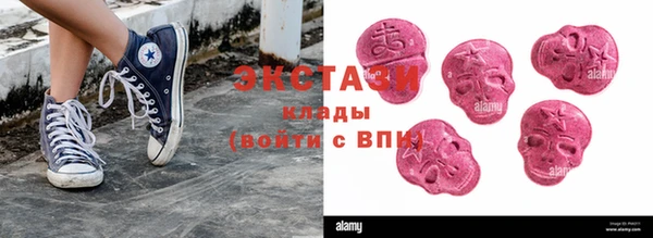 МДПВ Вяземский
