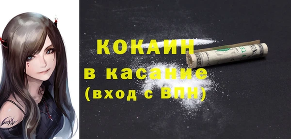 МДПВ Вяземский