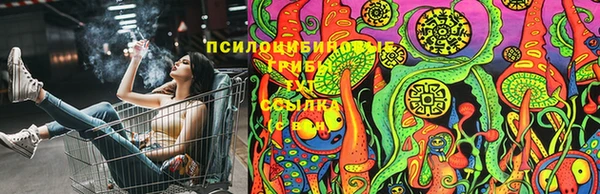 Альфа ПВП Вязьма