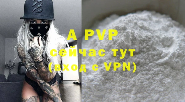 МДПВ Вяземский