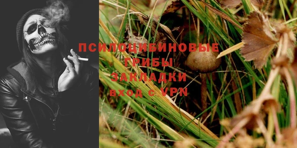 Альфа ПВП Вязьма