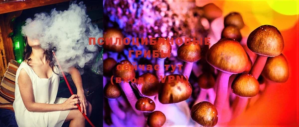 Альфа ПВП Вязьма