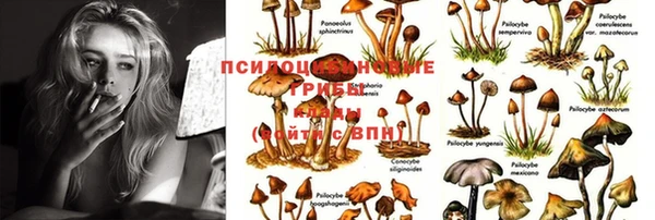 дмт Вязники