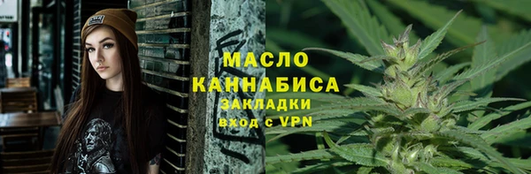 МДПВ Вяземский