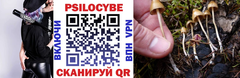 кракен сайт  Ачинск  Галлюциногенные грибы Magic Shrooms  где купить наркоту 